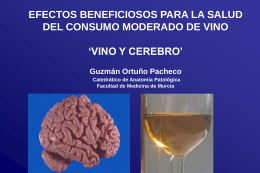 Reuniones/XXXIV reunion/vino y cerebro R