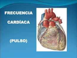 frecuencia cardíaca (pulso)