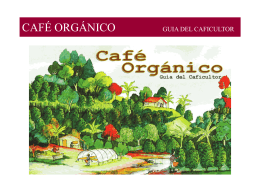 Café Orgánico. Guía del caficultor