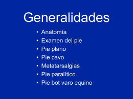 01- Pie-Generalidades - lerat