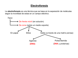 Clase Electroforesis