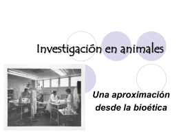Investigación en animales Una aproximación desde la bioética