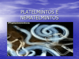 PLATELMINTOS E NEMATELMINTOS