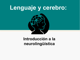 Lenguaje y cerebro: