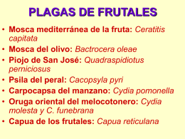 PLAGAS DE FRUTALES
