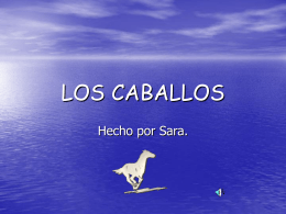 LOS CABALLOS - "Proyecto Hormiga".