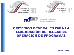 Criterios Generales para Emitir Reglas de Operacion 2004