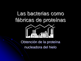 Las bacterias como fábricas de proteínas