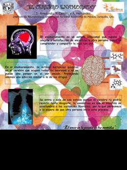 “El Cerebro enamorado”