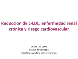 El riesgo cardiovascular del paciente renal crónico. Estudios previos