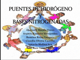 puentes y bases nitrogenadas