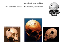 Historia Neurociencia