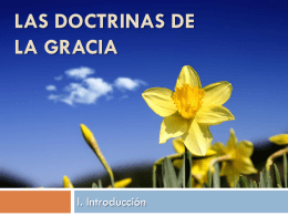 Las Doctrinas de la Gracia - Reformado reformándome