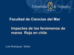 Marea Roja - Universidad de Magallanes