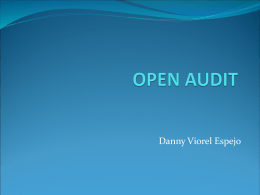 Open Audit Danny Viorel