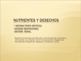 Nutrientes y desechos - Sistema Porta hepático.
