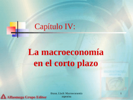 Capítulo IV: La Macroeconomía en el Corto Plazo