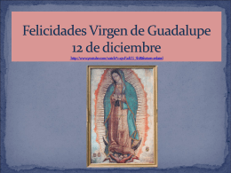 Felicidades Virgen de Guadalupe - seed394internshiplampman-g