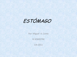 ESTÓMAGO - Telmeds.org