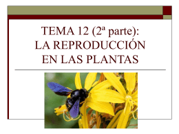 TEMA 13: LA REPRODUCCIÓN EN LAS PLANTAS