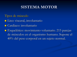 7. FISIOLOGIA DEL SISTEMA MOTOR