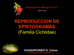 REPRODUCCION DE PECES (Familia Cichlidae)