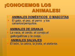 LOS ANIMALES Y EL LUGAR DONDE VIVEN.