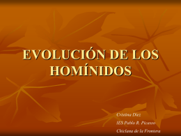 EVOLUCIÓN DE LOS HOMÍNIDOS