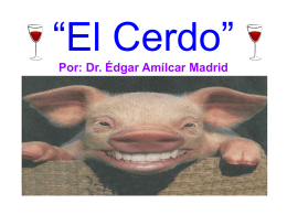 El_Cerdo - Radio Verdad