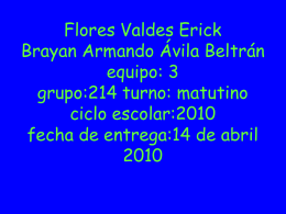 Flores Valdes Erick BRAYAN