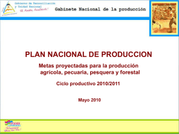 Plan Nacional de Producción 2010/2011