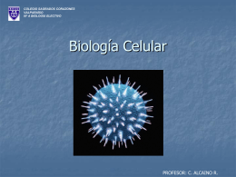 biologia celularprimera parte