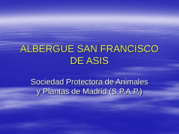 1 + 1 - Sociedad Protectora de Animales y Plantas de Madrid