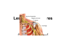 Lesiones articulares del hombro ppt
