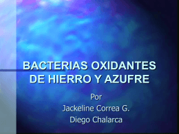 BACTERIAS OXIDANTES DE HIERRO Y AZUFRE