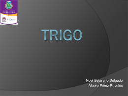 TRIGO - FCQ