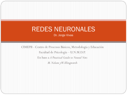 REDES NEURONALES