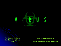 Biología Viral 2008 - Instituto de Higiene
