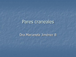 Pares craneales - WordPress.com