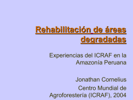 Experiencias del ICRAF en Ucayali