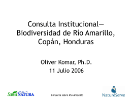 Consulta Institucional—Biodiversidad de Río Amarillo, Copán