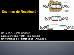 Lab5_Enzimas Restriccion_UPRAg
