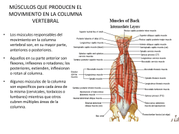 músculos que producen el movimiento en la columna vertebral