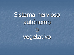 Sistema_nervioso_autónomo_o_vegetativo2009