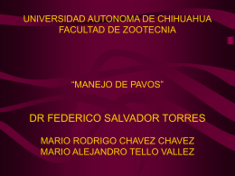 manejo de pavos - Universidad Autónoma de Chihuahua
