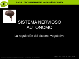 sistema nervioso autónomo - PROFESOR JANO es Víctor M. Vitoria