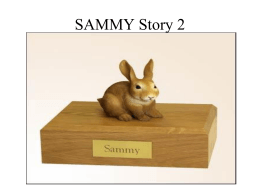 SAMMY Story 2