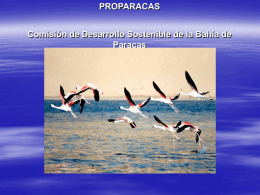 Comisión de Desarrollo Sostenible de la Bahía de Paracas