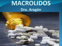 MACROLIDOS Dra. Ángela Aragón Grupo N° 1