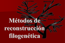 Presentación PowerPoint de los métodos de reconstrucción